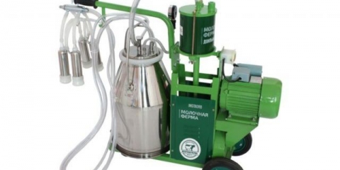 Muzilica za farmu krava